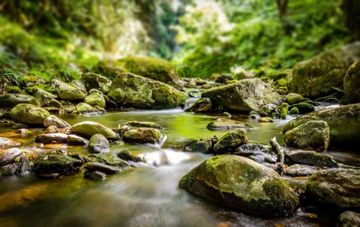 A Brief Dive into the History of Water Filtration - Culligan Zero Water