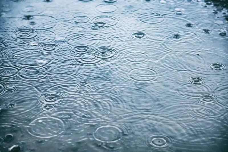 Can You Drink Rain Water? - Culligan Zero Water