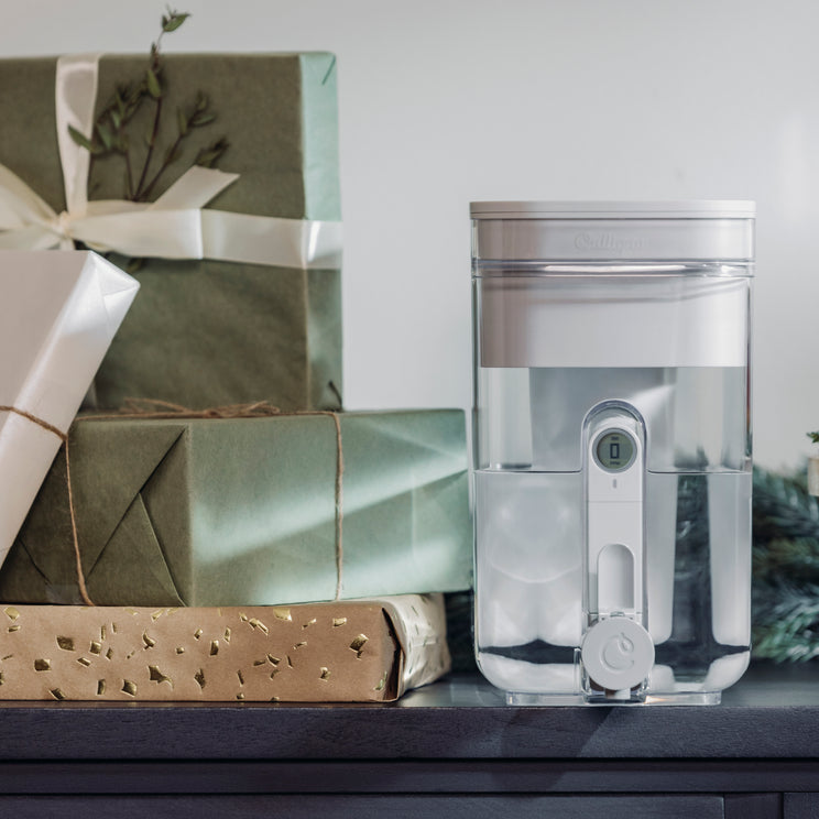 5.2L Water Filter Dispenser - Hover