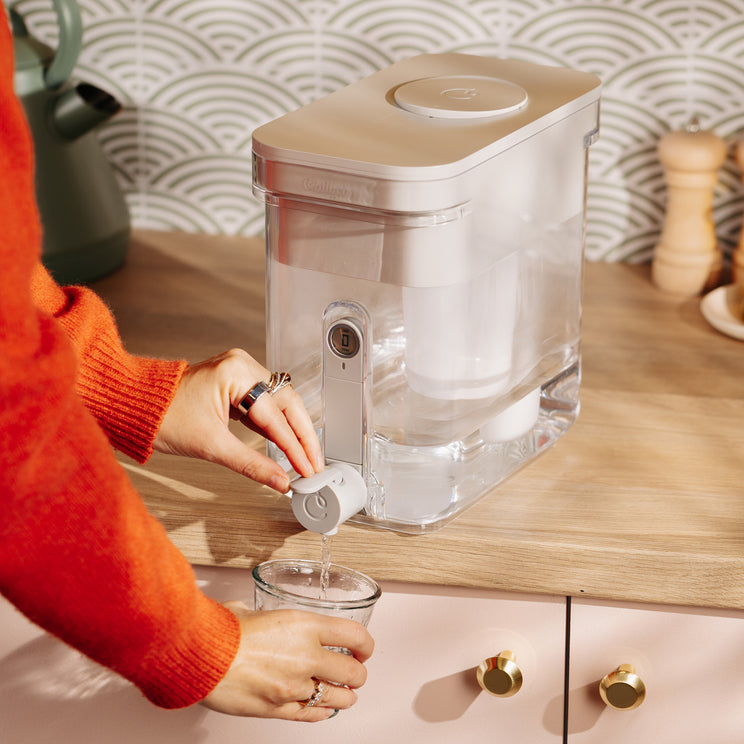 5.2L Water Filter Dispenser - Hover